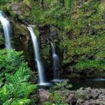 Road to Hana Deluxe Rainforest and Waterfall Experience from Oahu - What Travelers Love and Consider
