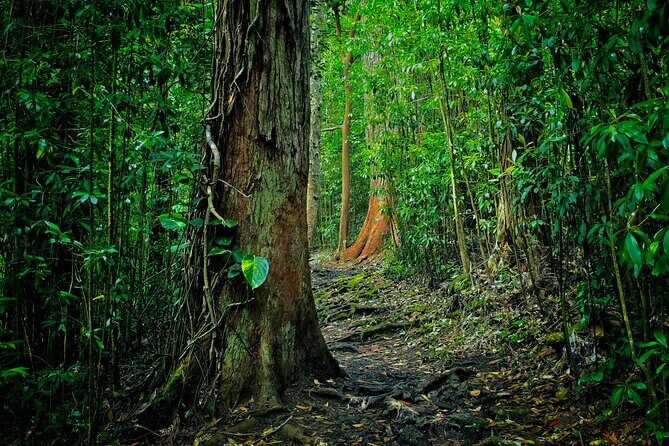 Road to Hana Halfway Tour - FAQ