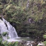 Road to Hana Tour - Best of Maui - A Deep Dive into the Maui Road to Hana Experience