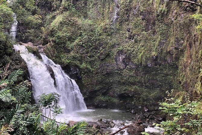 Road to Hana Tour - Best of Maui - A Deep Dive into the Maui Road to Hana Experience