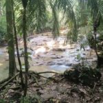 Roberto Barrios Waterfalls from Palenque - A Closer Look at the Roberto Barrios Waterfalls Tour