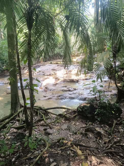 Roberto Barrios Waterfalls from Palenque - A Closer Look at the Roberto Barrios Waterfalls Tour