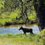 Rocky Mountain National Park and Estes Park Tour from Denver Winter and Spring - FAQs