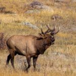 Rocky Mountain National Park Hike - Final Thoughts