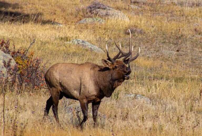 Rocky Mountain National Park Hike - Final Thoughts