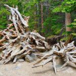 Rocky Mountain National Park Tour from Denver - Final Thoughts: Is It Worth It?