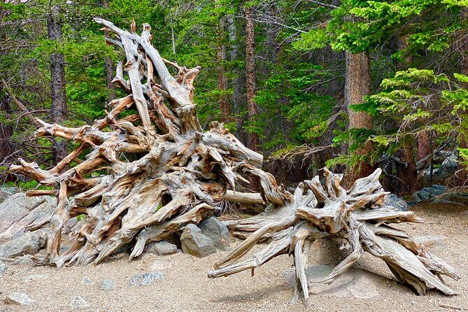 Rocky Mountain National Park Tour from Denver - Final Thoughts: Is It Worth It?