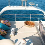 Rodman 38 Flybridge - Blue Lagoon Charters - What Reviewers Say