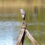 Roma: 1-Hour Guided Nature Trail Walk - Who Will Love This Tour?