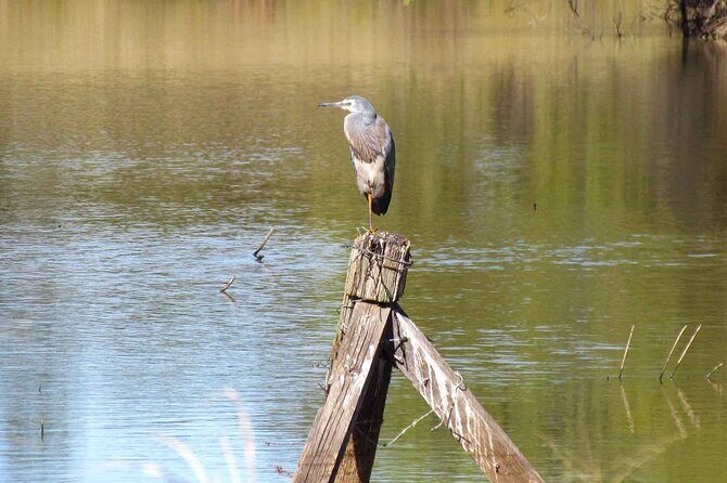 Roma: 1-Hour Guided Nature Trail Walk - Who Will Love This Tour?