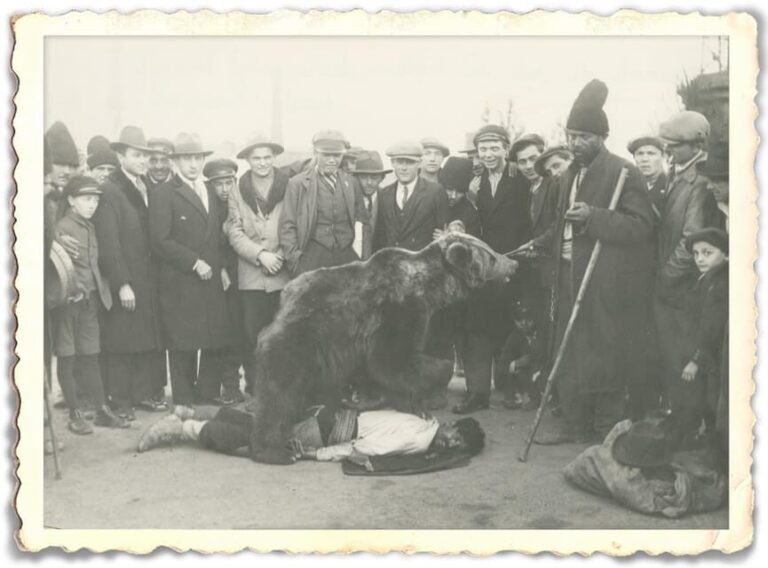 Roma Culture, Realities and Slavery History, Walking tour - An In-Depth Exploration of the Tour Experience