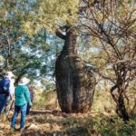 Roma: Landscape and Legacy Day Tour Including Lunch - An In-Depth Look at the Roma Landscape and Legacy Tour