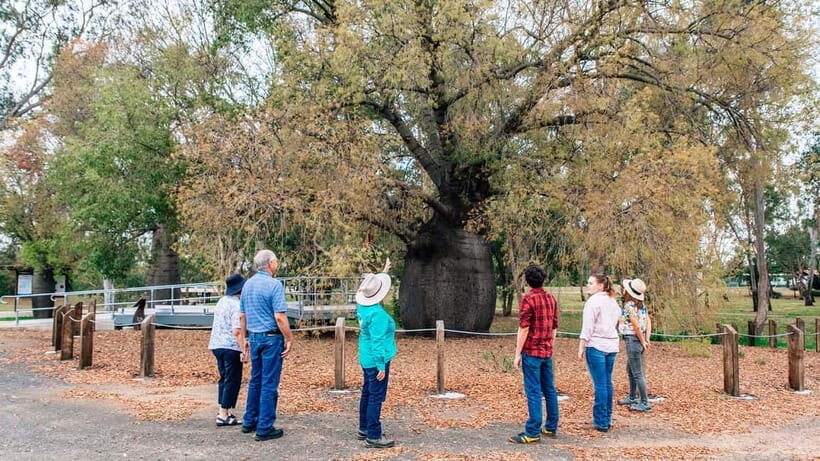 Roma: Roma Revelation Half Day Tour - The Guide’s Impact: Knowledge & Personality