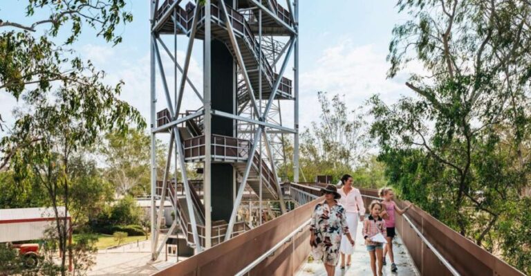 Roma: The Big Rig Oil Patch and Tower & Tree Walk - The Sum Up