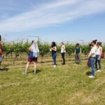 Romagna: Wine Tour with The Winemaker - Tasting Local Products: A True Flavor of Faenza