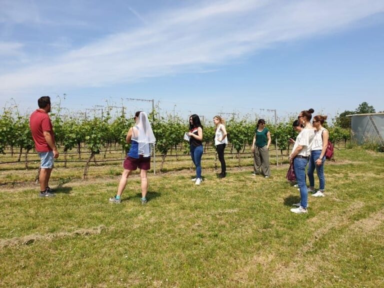 Romagna: Wine Tour with The Winemaker - Tasting Local Products: A True Flavor of Faenza