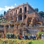 Roman Forum & Palatine Hill Guided Tour - Practical Information & Tips