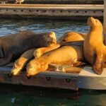Romantic Boat Cruise with Wine & Cheese or Surprise Dinner - An In-Depth Look at the Experience