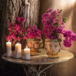 Romantic Dinner from Taormina with Vintage Car Tour - Exploring the Castle: Historic Setting and Romantic Ambiance