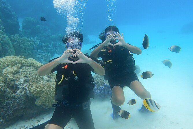 Romantic Dive for beginners in Bora Bora (2 people) with Video - Transportation and Practicalities