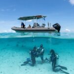 Romantic dive in the lagoon of Bora Bora - Who Should Consider This Tour?