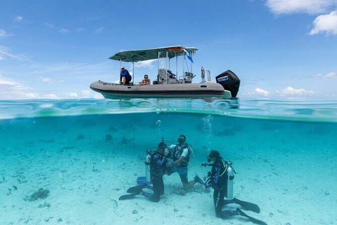 Romantic dive in the lagoon of Bora Bora - Who Should Consider This Tour?