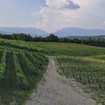 Romantic Evening Tasting with the Best Prosecco - FAQ