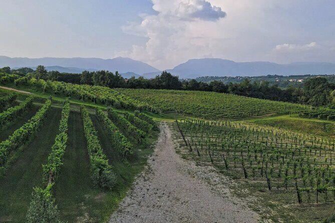 Romantic Evening Tasting with the Best Prosecco - FAQ