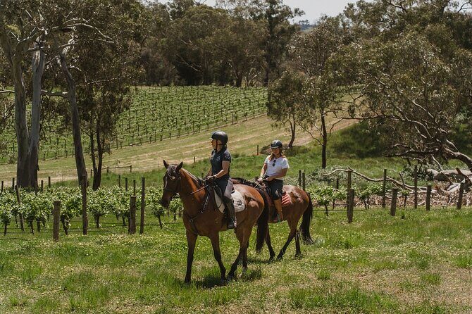 Romantic Horse Trail Ride with Wine and Food in Adelaide Hills - Final Thoughts