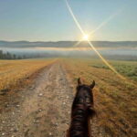 Romantic horseback riding at sunset : La Crépuscule - Who is This Tour Perfect For?