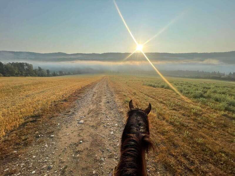 Romantic horseback riding at sunset : La Crépuscule - Who is This Tour Perfect For?