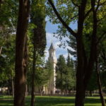 Romantic Journey in Trebinje - Walking Tour - Is This Tour Worth It?
