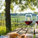 Romantic Road Ticket Würzburg - Rothenburg with Wine Tasting - Exploring the Itinerary in Detail