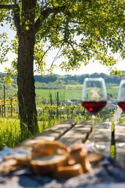 Romantic Road Ticket Würzburg - Rothenburg with Wine Tasting - Exploring the Itinerary in Detail