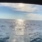 Romantic Sunset Tour in Boka Bay by Speedboat - Authentic Experiences and Real Feedback