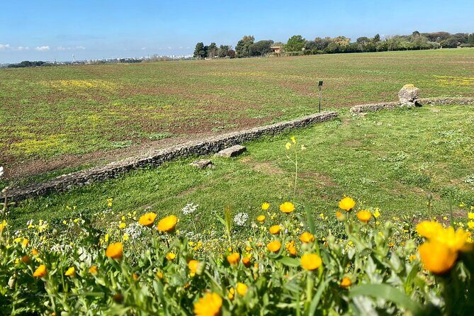 Rome: Castelli Romani Day Trip by Train and E-Bike - Who Is This Tour Best For?