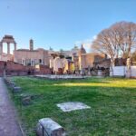 Rome: Colosseum and Ancient Rome Guided Walking Tour - Practical Details and What to Expect