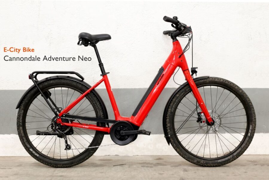 Rome: E-Bike Rental with Helmet and U-Lock - A Closer Look at the E-Bike Experience in Rome