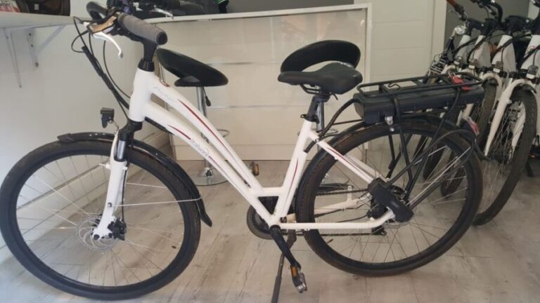 Rome: Electric Bike Rental Service - Why This E-Bike Rental Offers Good Value
