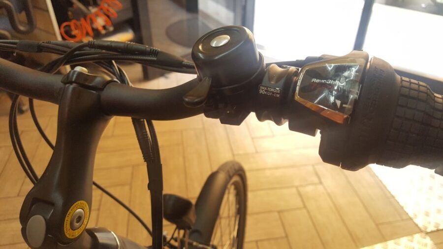 Rome: Electric Bike Rental - Who Will Love This Experience?