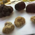 Rome: Food Tour in Trastevere with Dinner & Fine Wine - What Makes This Tour Stand Out?