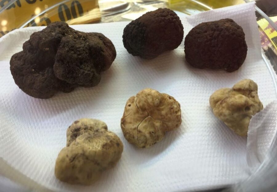Rome: Food Tour in Trastevere with Dinner & Fine Wine - What Makes This Tour Stand Out?