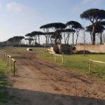 Rome: Horseback Riding Experience in Castel Fusano - An Honest Look at the Horseback Riding Experience in Castel Fusano