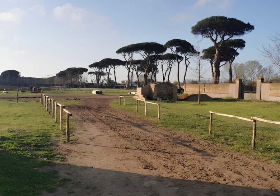Rome: Horseback Riding Experience in Castel Fusano - An Honest Look at the Horseback Riding Experience in Castel Fusano