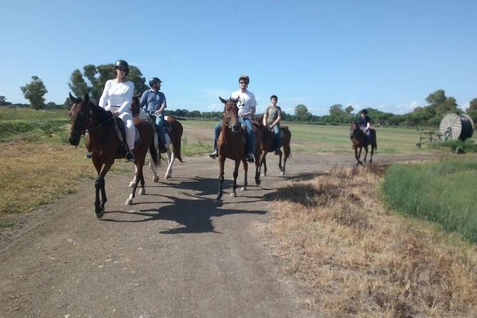 Rome : Horseback Riding with meals and wine included - The Itinerary in Detail