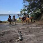 Rome: Lake Martignano Horseback Ride with Guide - An In-Depth Look at the Lake Martignano Horseback Ride