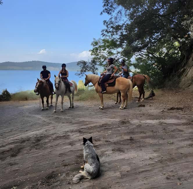 Rome: Lake Martignano Horseback Ride with Guide - An In-Depth Look at the Lake Martignano Horseback Ride