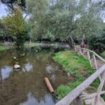 Rome: Mini hike to the ancient Parco degli Acquedotti - Authentic Elements and Worth Noting
