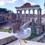 Rome: Private Tour with Guide - FAQs
