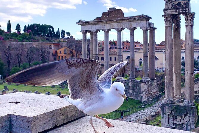 Rome: Private Tour with Guide - FAQs